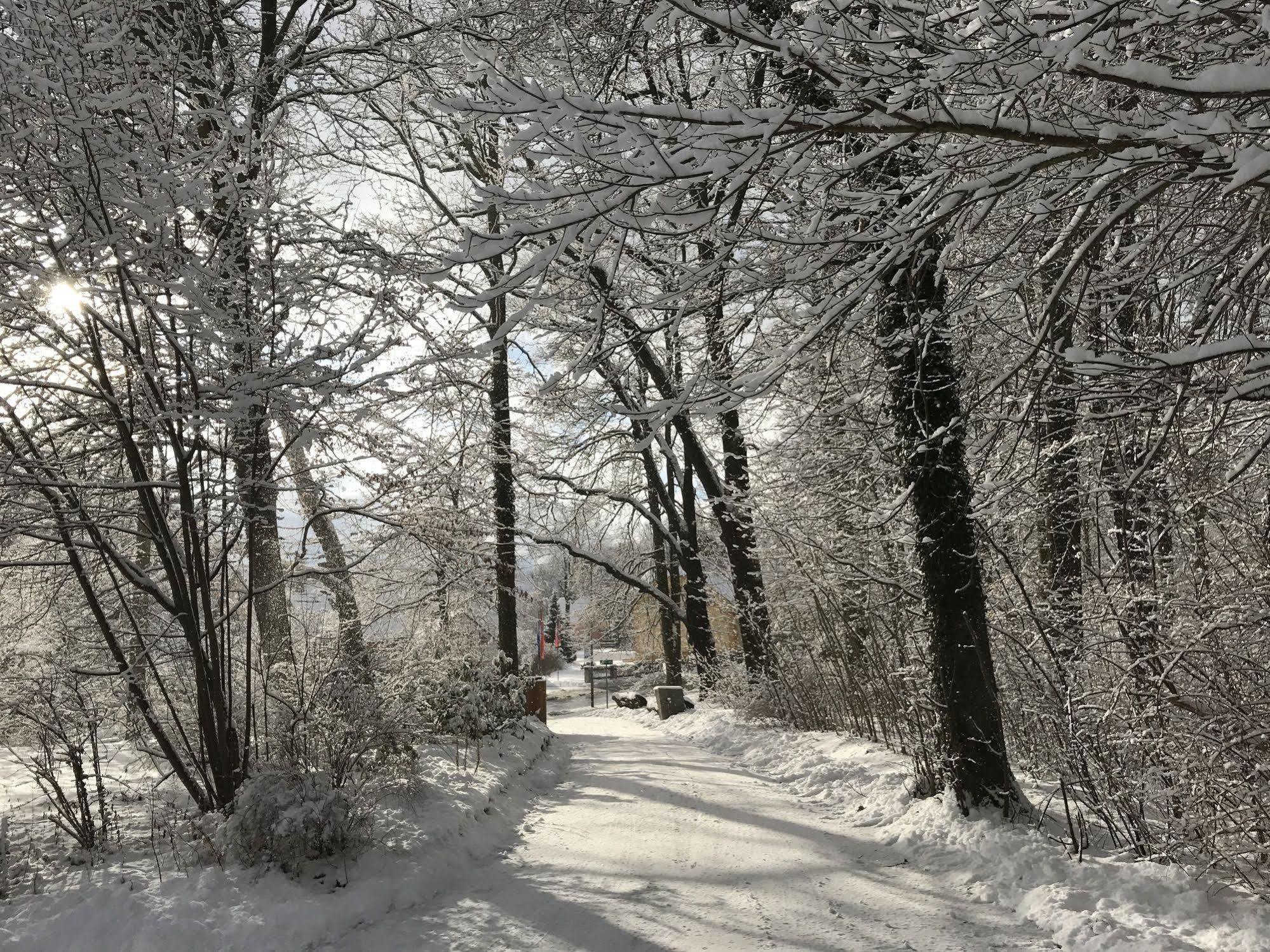 Turmvilla Bad Muskau Luaran gambar